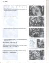 page0052 * 850 x 1100 * (113KB)